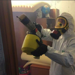 Уничтожение клопов в квартире. Тургеневская